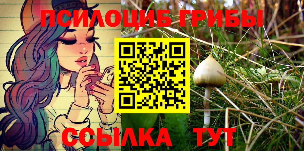 Псилоцибиновые грибы Psilocybine cubensis  наркошоп  Псилоцибиновые грибы GOLDEN TEACHER  Киржач  Вход с VPN 